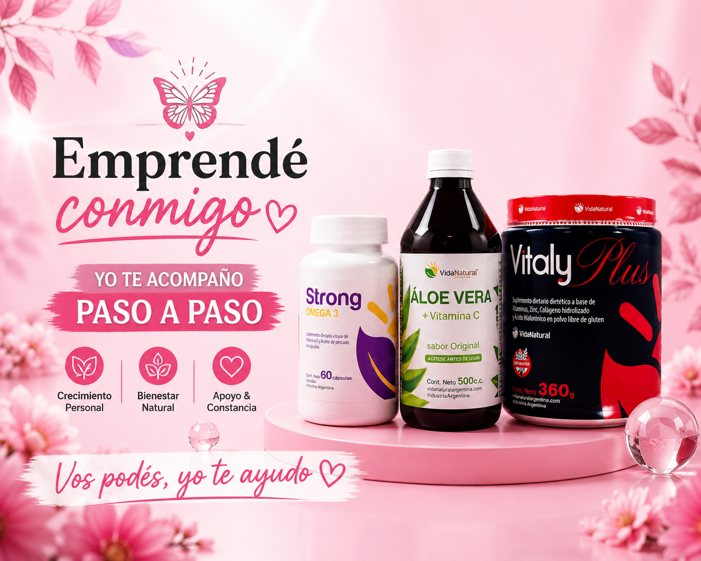 Programa de distribuidoras